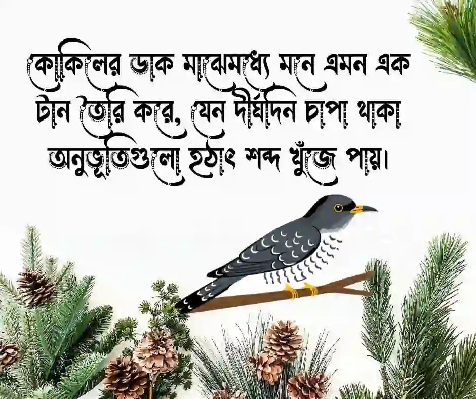 কোকিলের ডাক নিয়ে স্ট্যাটাস