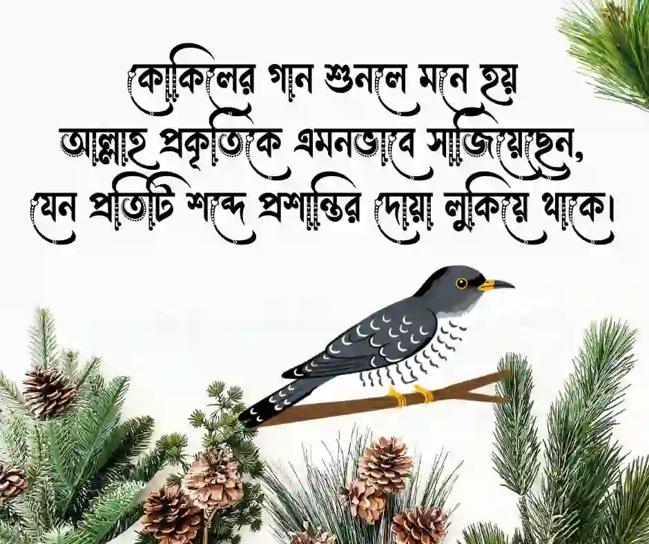 কোকিল নিয়ে উক্তি - কোকিল নিয়ে ক্যাপশন
