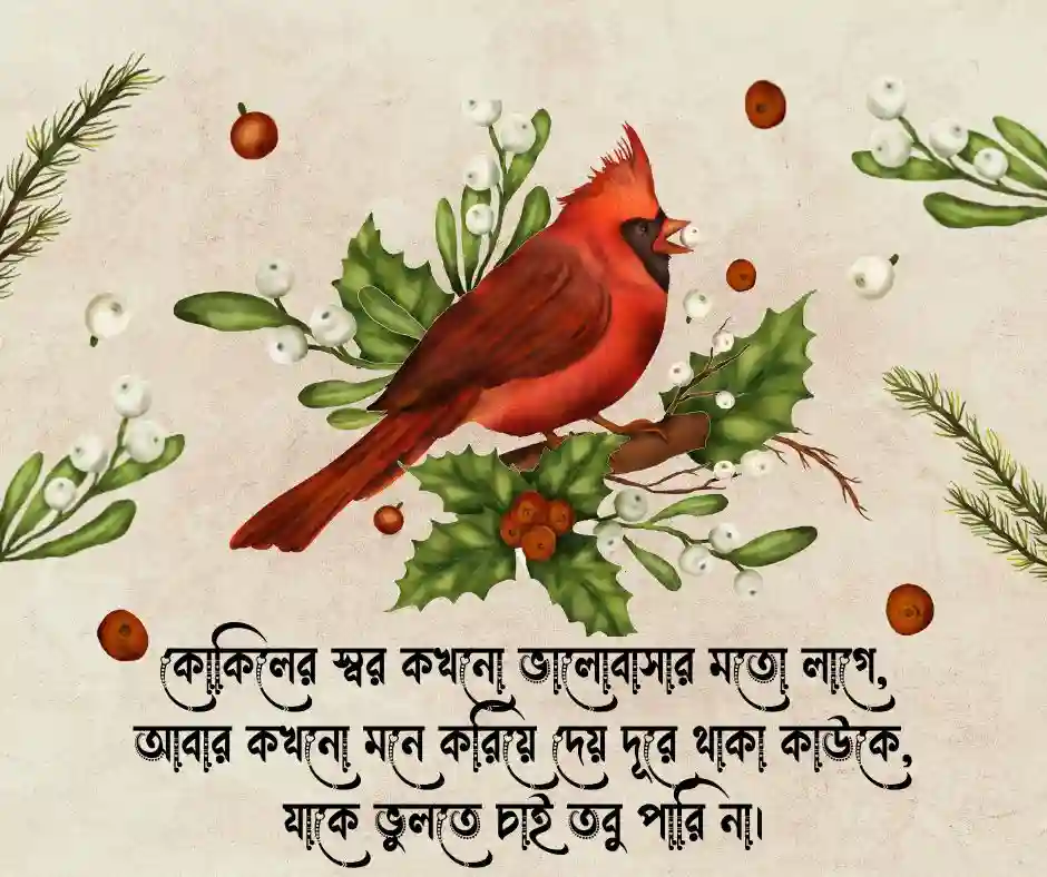 কোকিল নিয়ে উক্তি