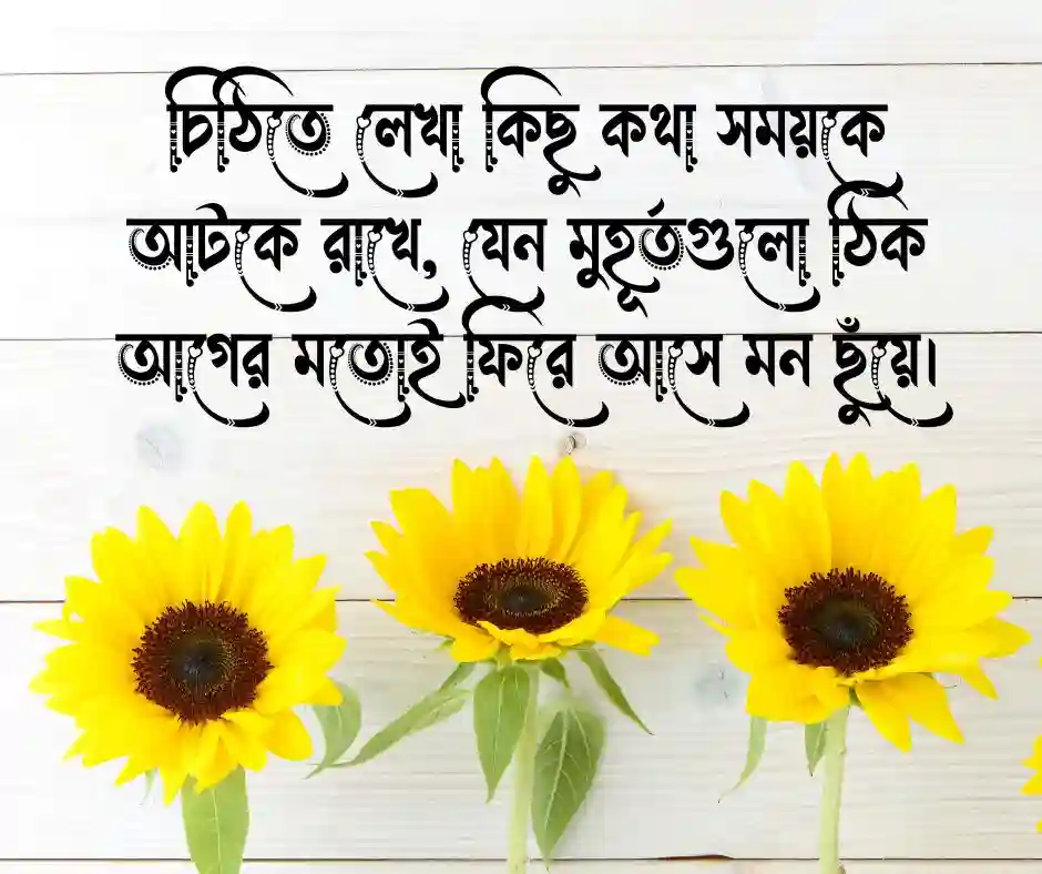 চিঠি নিয়ে উক্তি