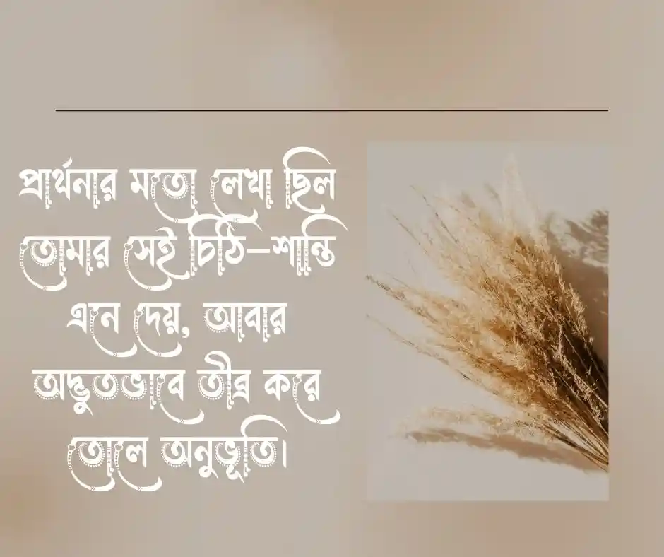 চিঠি নিয়ে ক্যাপশন ও কিছু কথা