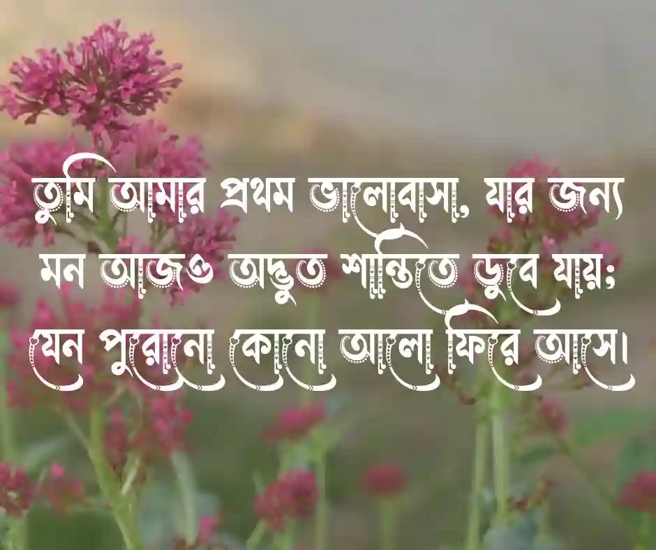 তুমি আমার প্রথম ভালোবাসা ক্যাপশন