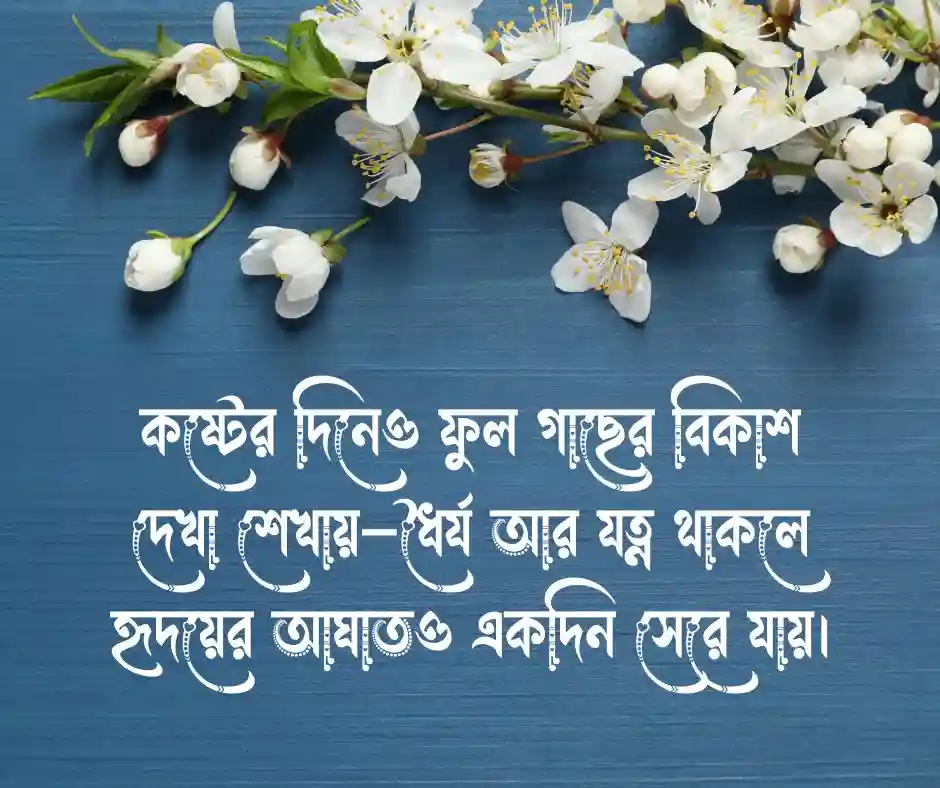 ফুল গাছ নিয়ে উক্তি