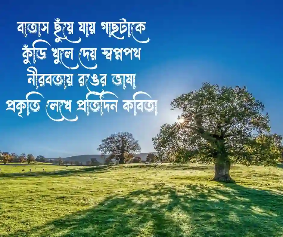 ফুল গাছ নিয়ে কবিতা