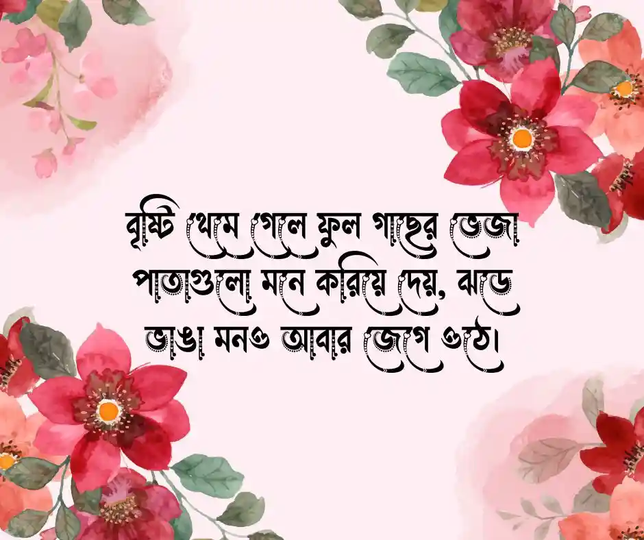 ফুল গাছ নিয়ে ক্যাপশন ও স্ট্যাটাস