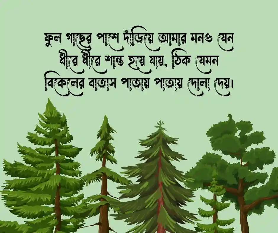 ফুল গাছ নিয়ে ক্যাপশন