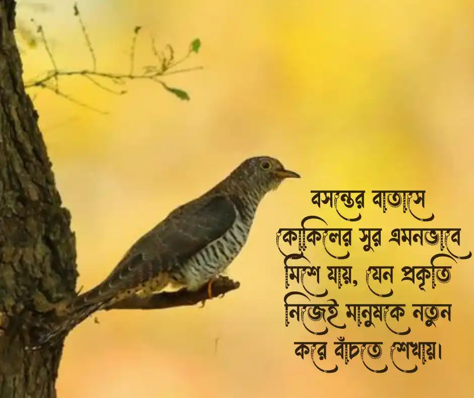 বসন্তের কোকিল নিয়ে উক্তি