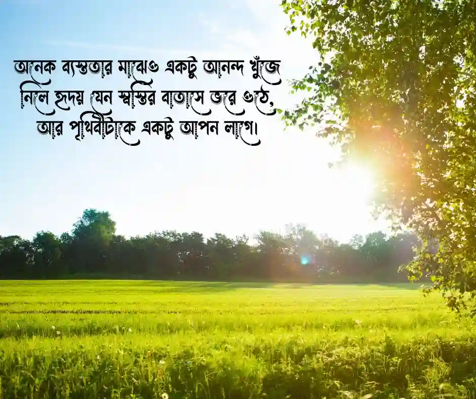 মনের আনন্দের স্ট্যাটাস