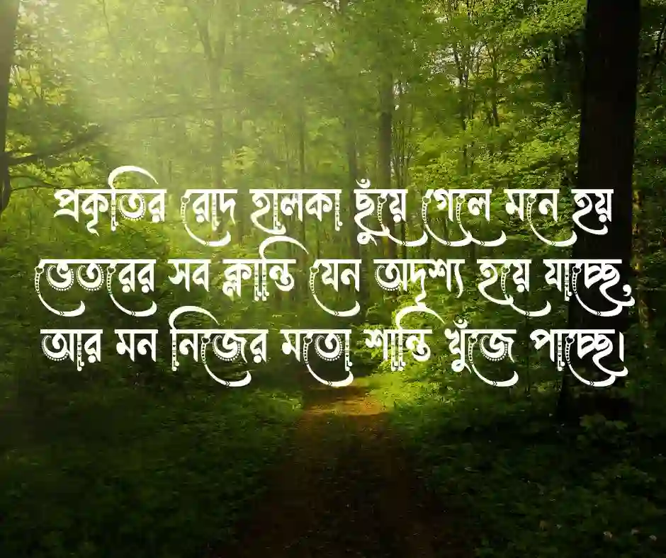 মনের সুখ নিয়ে উক্তি