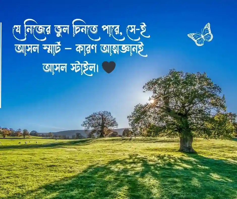 স্মার্ট ছেলেদের ফেসবুক স্ট্যাটাস (2)