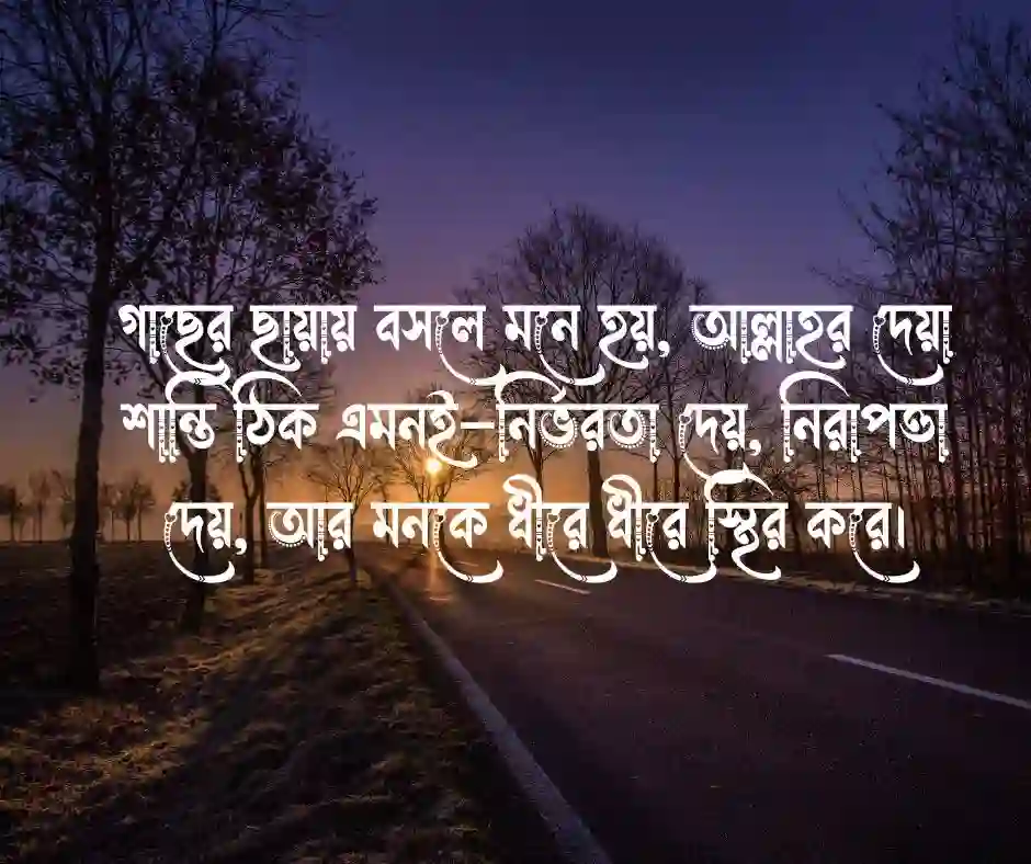 গাছ নিয়ে ইসলামিক উক্তি 