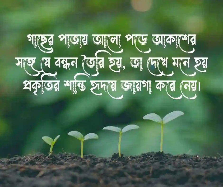 আকাশ ও গাছ নিয়ে ক্যাপশন (1)