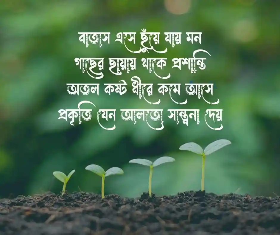 প্রকৃতি ও গাছ নিয়ে কবিতা (1)