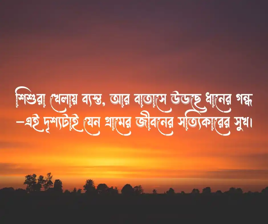 গ্রামের বিকেলের সৌন্দর্য নিয়ে উক্তি