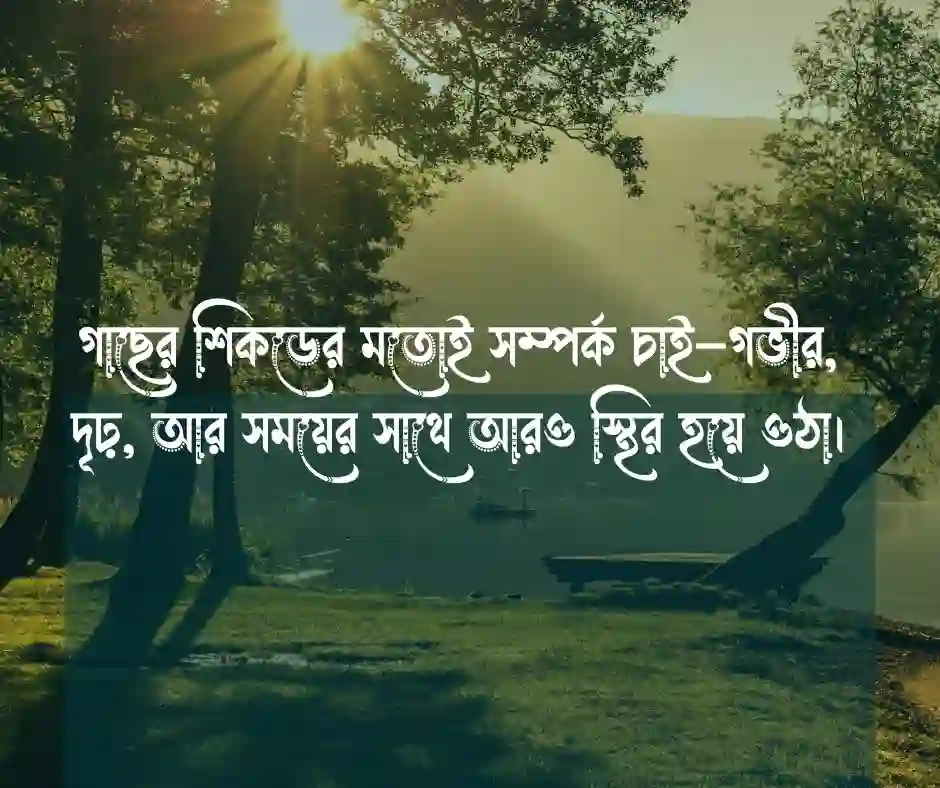 সবুজ গাছ নিয়ে উক্তি
