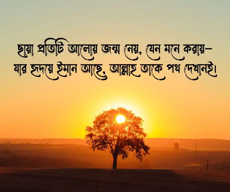 নিজের ছায়া নিয়ে ক্যাপশন  ছায়া নিয়ে স্ট্যাটাস