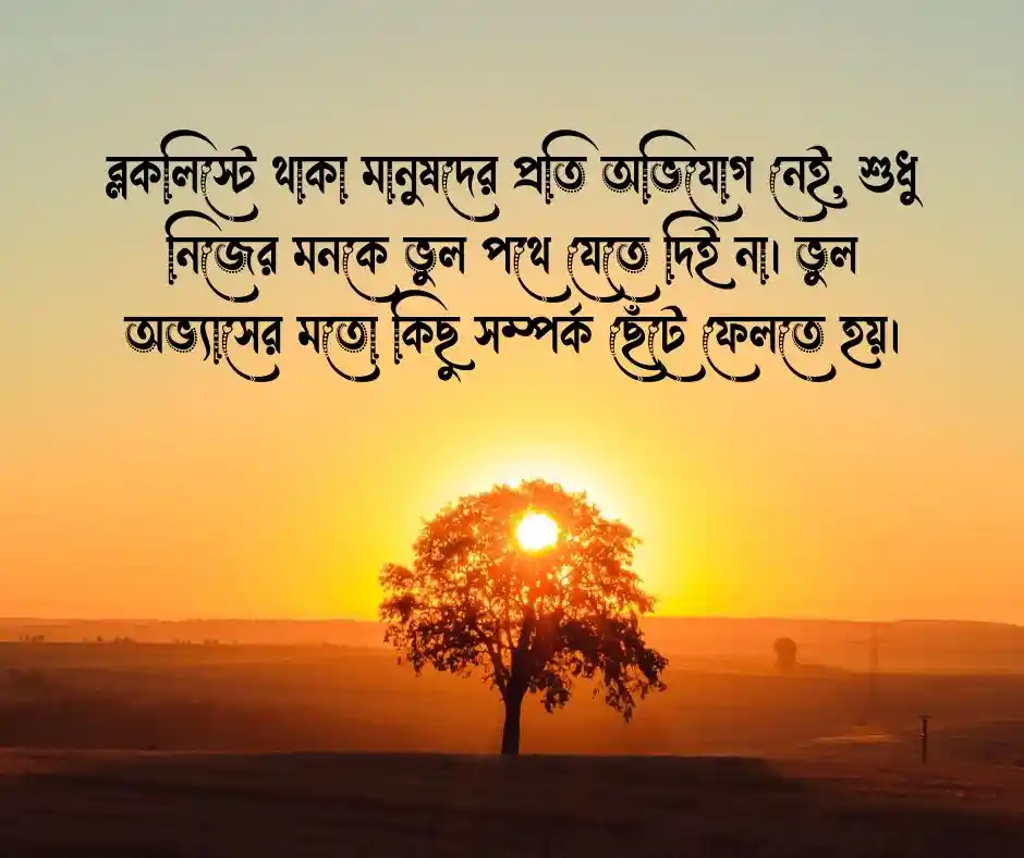 ব্লকলিস্ট নিয়ে ক্যাপশন