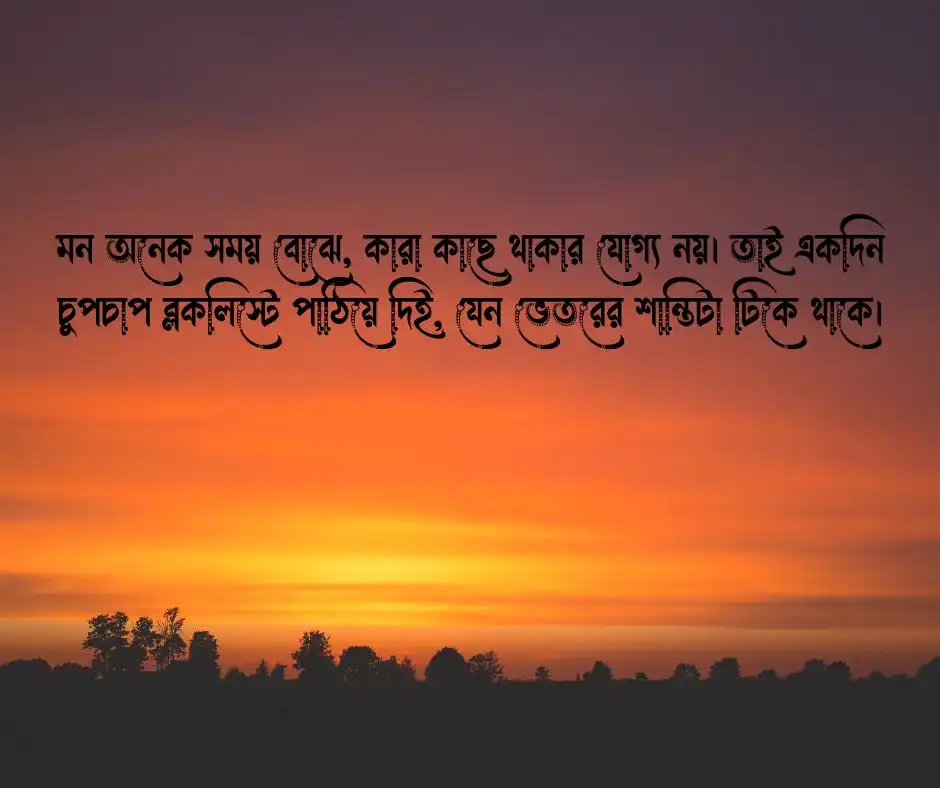 ব্লকলিস্ট নিয়ে উক্তি
