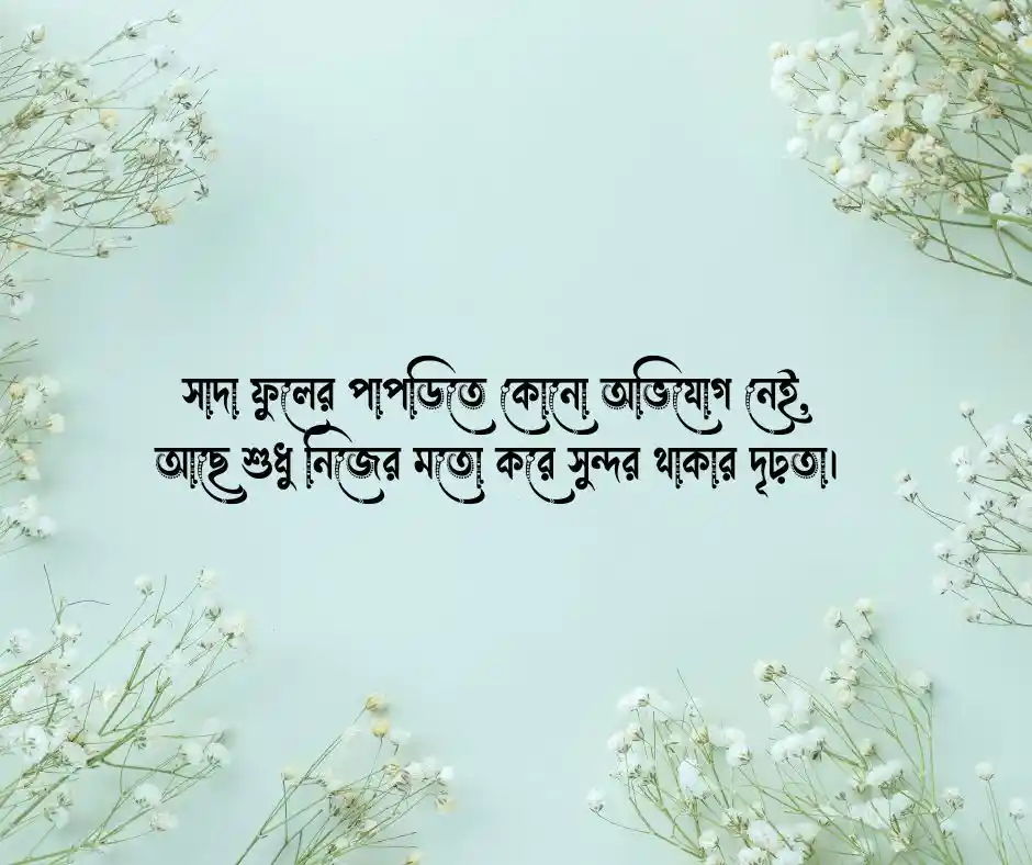 সাদা ফুল নিয়ে ক্যাপশন