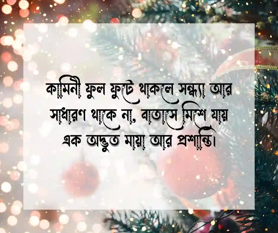 কামিনী ফুল নিয়ে ক্যাপশন