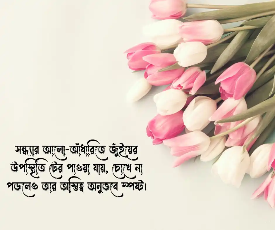 জুঁই ফুল নিয়ে ক্যাপশন