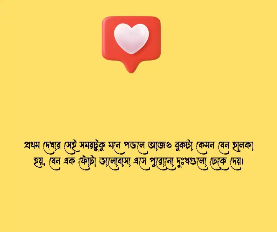 প্রথম দেখা নিয়ে স্ট্যাটাস  প্রথম দেখা নিয়ে ক্যাপশন