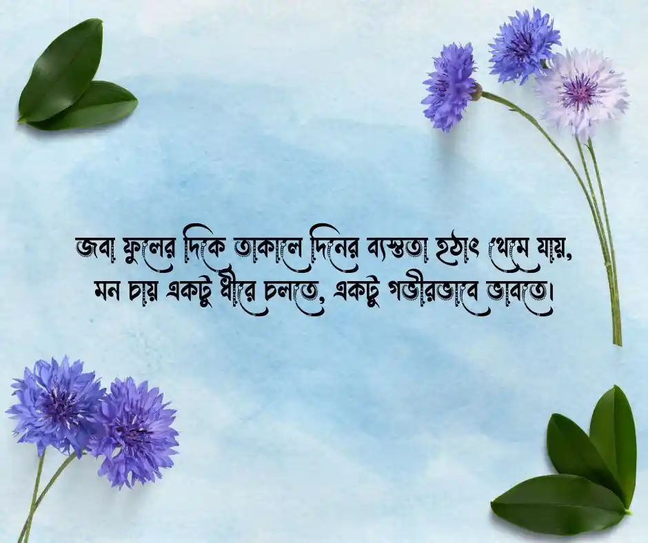 জবা ফুল নিয়ে উক্তি
