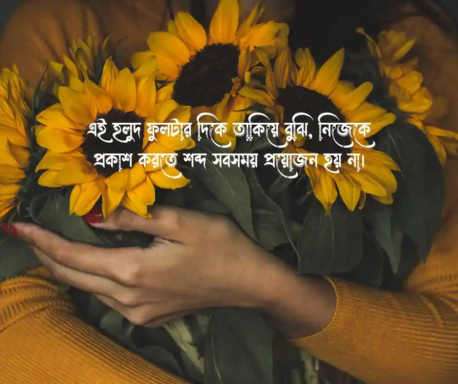 সূর্যমুখী ফুল নিয়ে ক্যাপশন