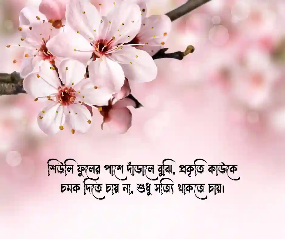 শিউলি ফুল নিয়ে ক্যাপশন