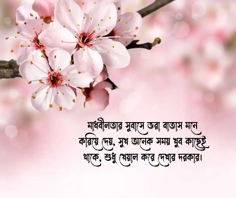 মাধবীলতা ফুল নিয়ে ক্যাপশন
