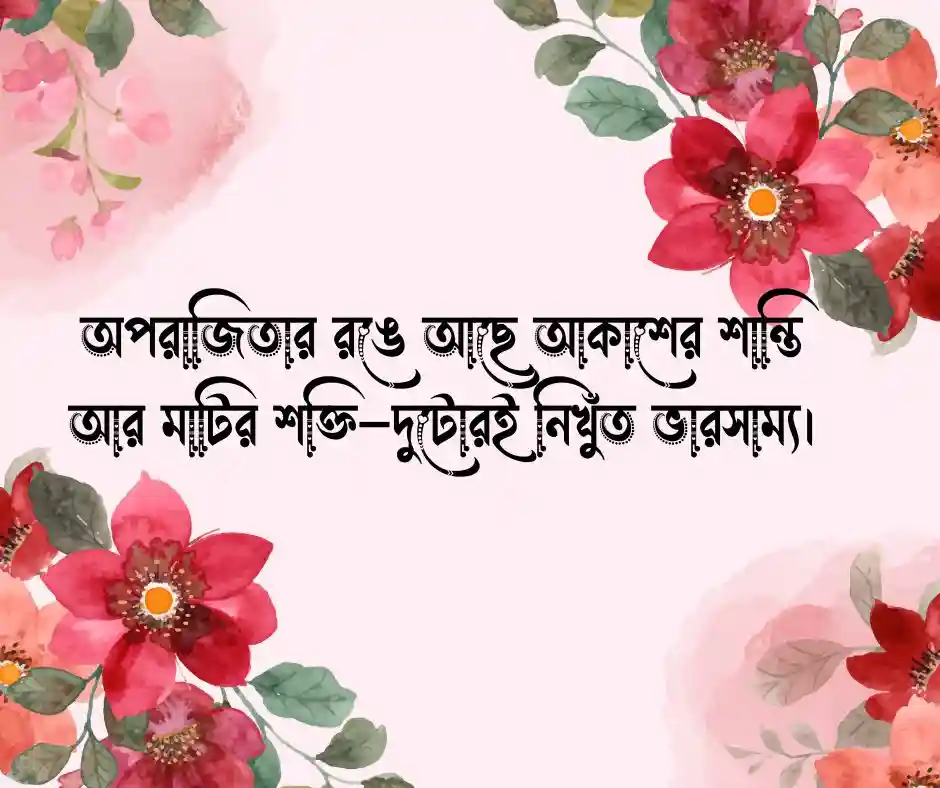 অপরাজিতা ফুল নিয়ে ক্যাপশন