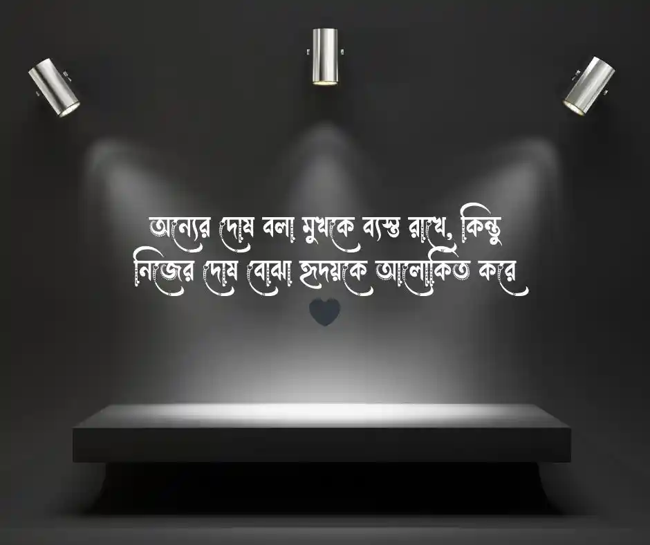 অন্যের দোষ খোঁজা নিয়ে উক্তি