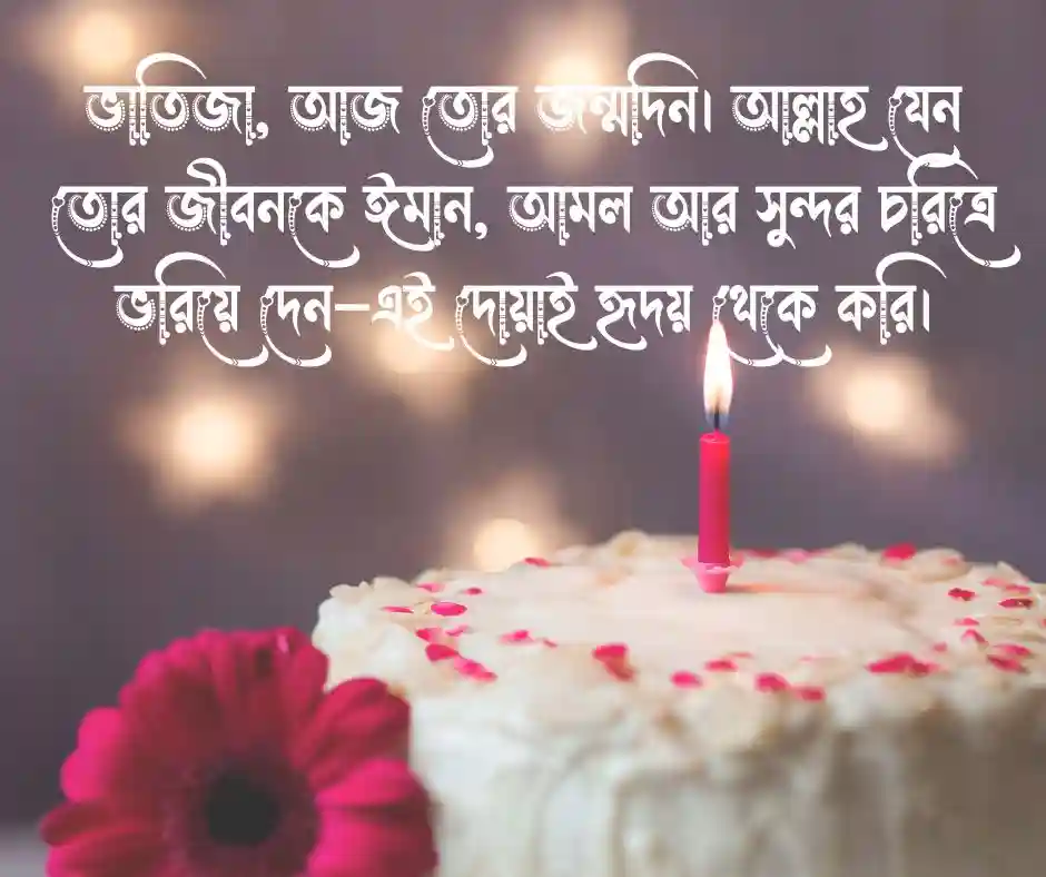 ভাতিজার জন্মদিনের ক্যাপশন  ভাতিজার জন্মদিনের স্ট্যাটাস