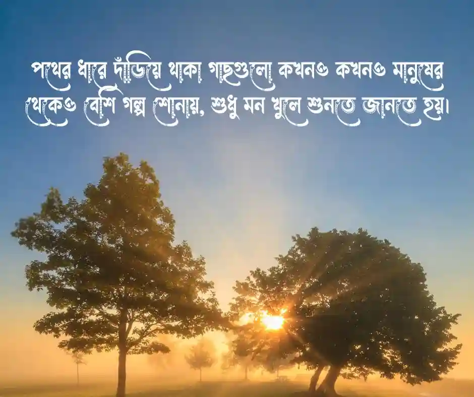 গাছ নিয়ে ক্যাপশন (2)