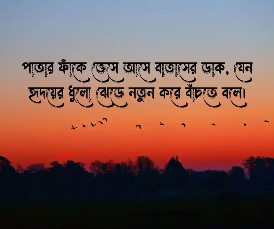 গাছ নিয়ে ক্যাপশন (2)