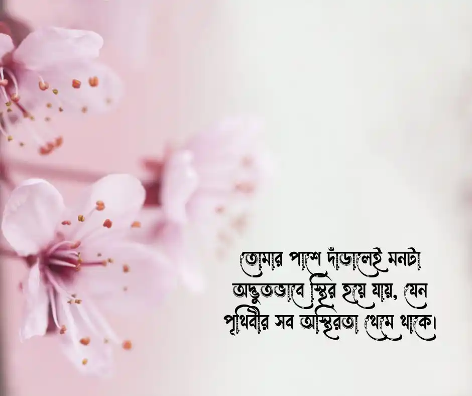 Bengali Quotes বুঝলে প্রিয় Caption