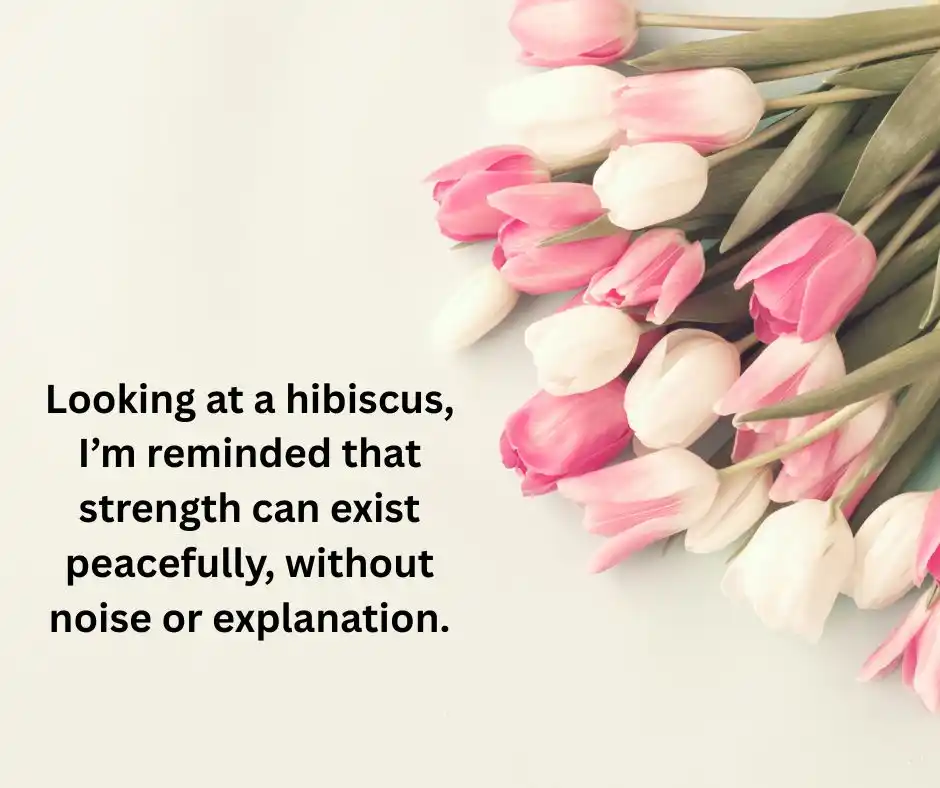 জবা ফুল নিয়ে ক্যাপশন English