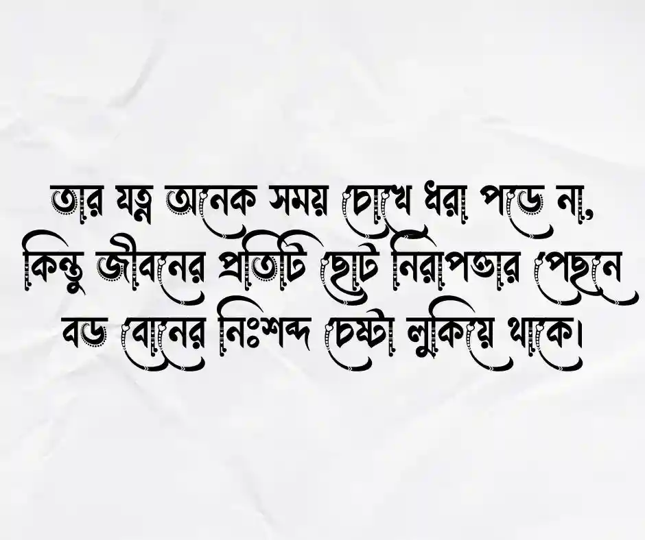 বড় বোন নিয়ে স্ট্যাটাস