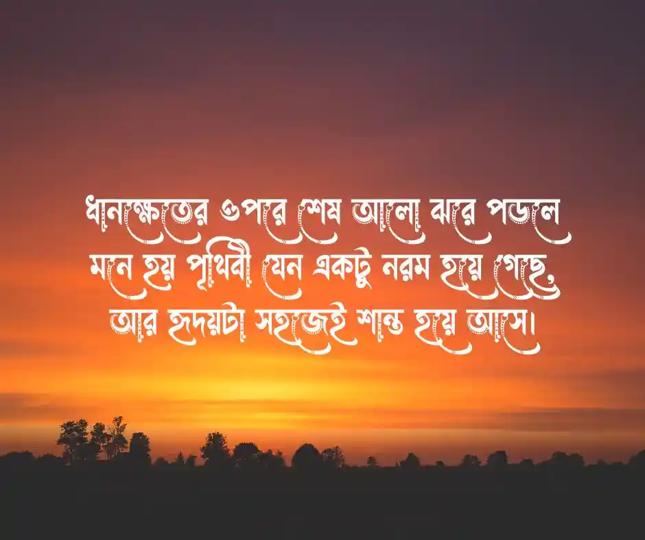 গ্রামের বিকেলের সৌন্দর্য নিয়ে উক্তি