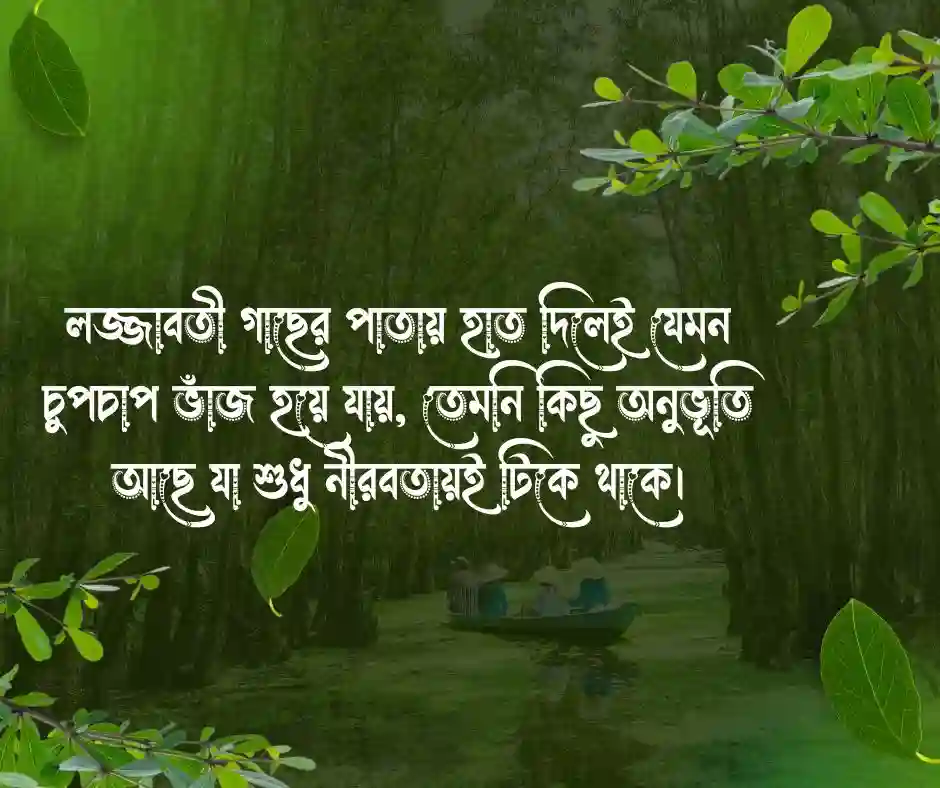 লজ্জাবতী গাছ নিয়ে ক্যাপশন (1)