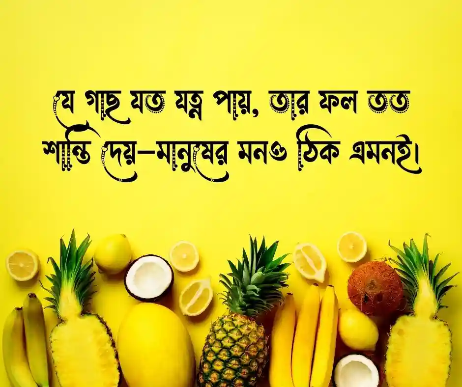 ফল গাছ নিয়ে উক্তি