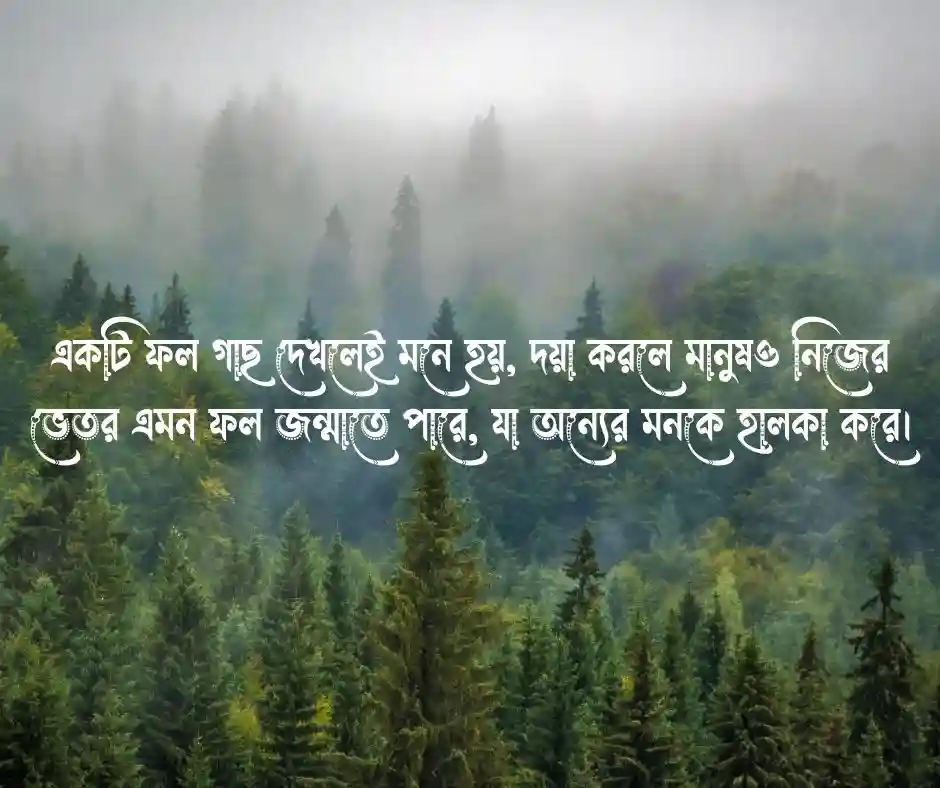 ফল গাছ নিয়ে ক্যাপশন