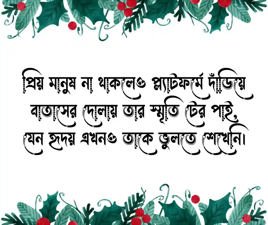 প্লাটফর্ম নিয়ে স্ট্যাটাস