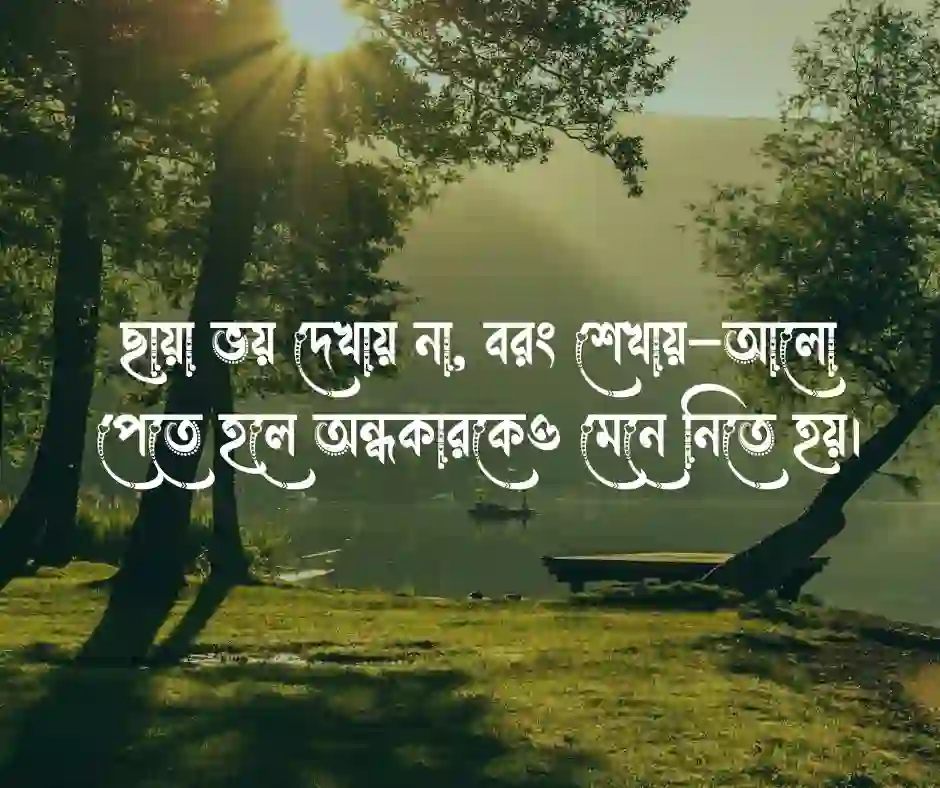 আলো ছায়া নিয়ে ক্যাপশন