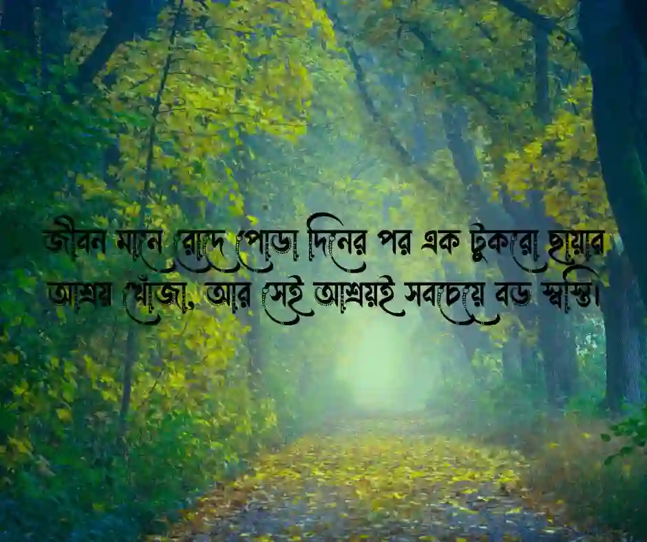 রোদ ছায়া নিয়ে ক্যাপশন  ছায়া নিয়ে উক্তি