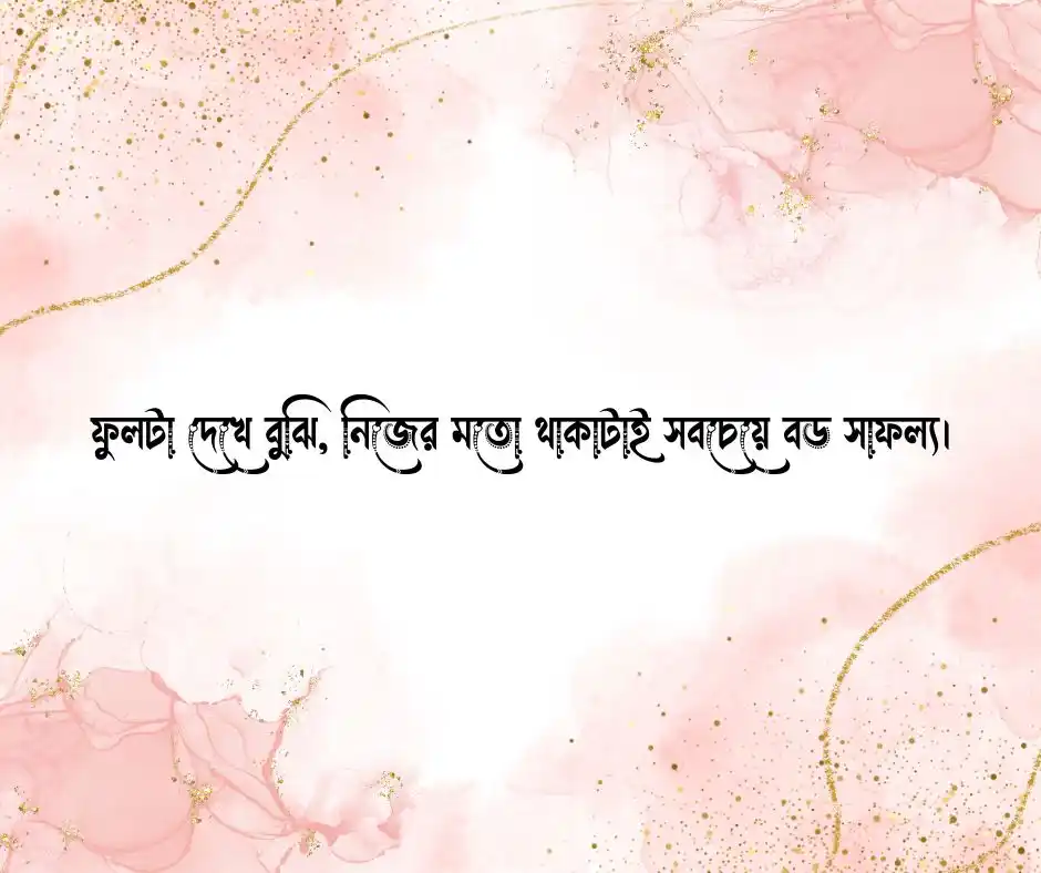 নয়নতারা ফুল নিয়ে উক্তি