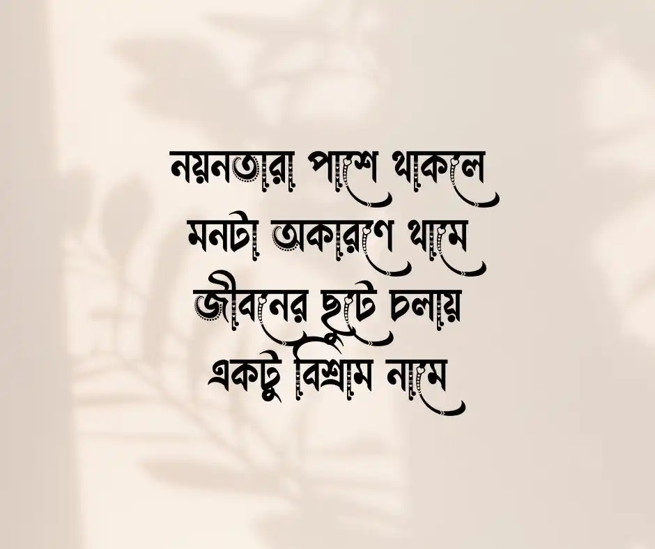 নয়নতারা ফুল নিয়ে কবিতা