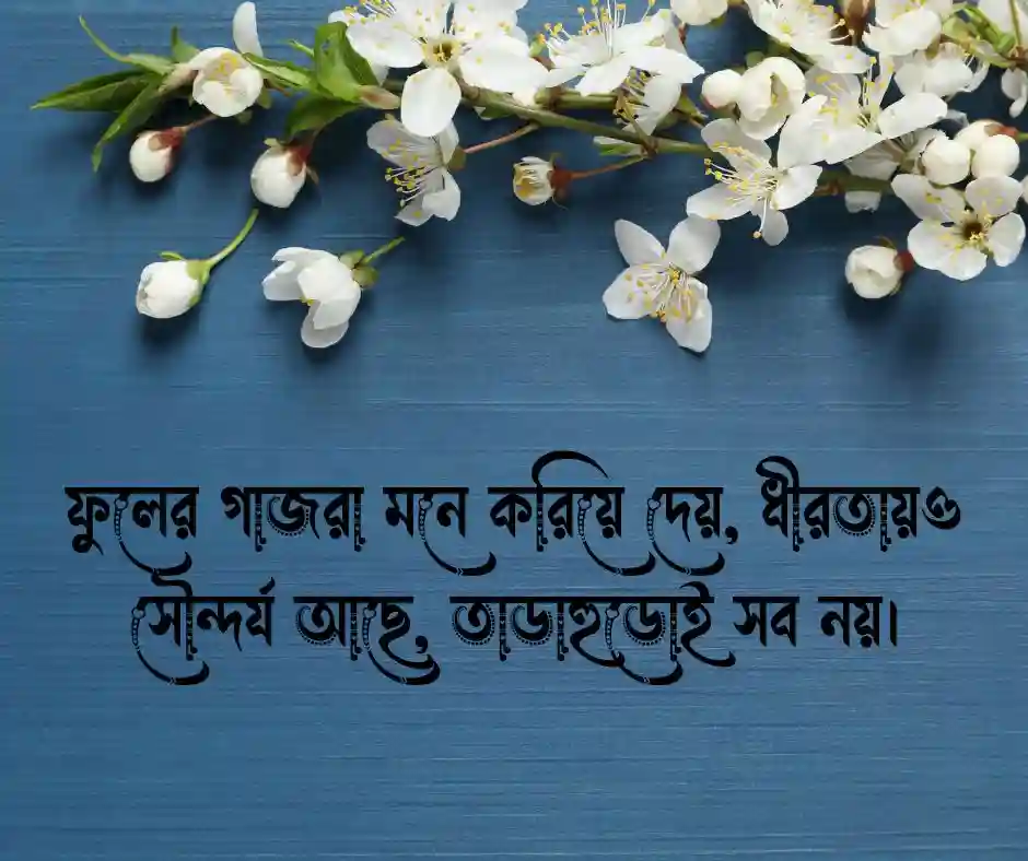 ফুলের গাজরা নিয়ে স্ট্যাটাস