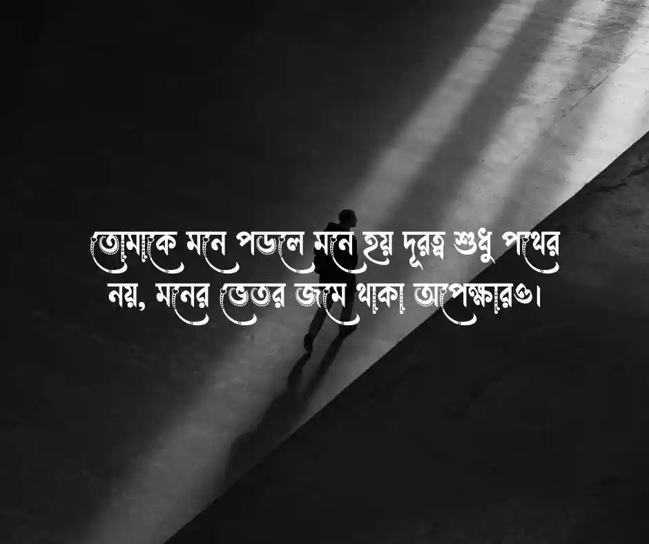 মিস করা নিয়ে উক্তি