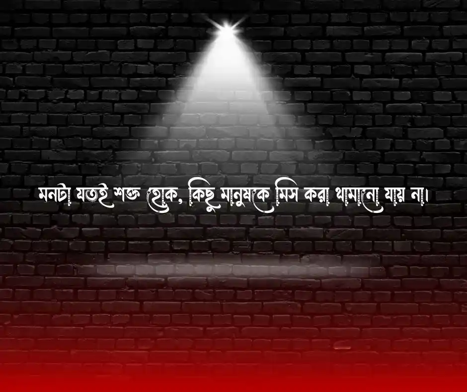 কাউকে মিস করা নিয়ে উক্তি